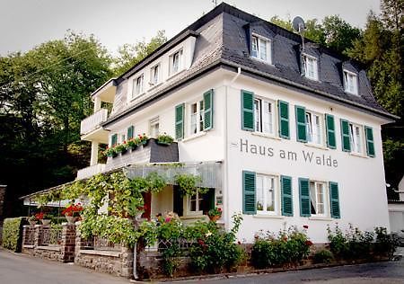 Pension "Haus Am Walde" Brodenbach, Mosel Extérieur photo