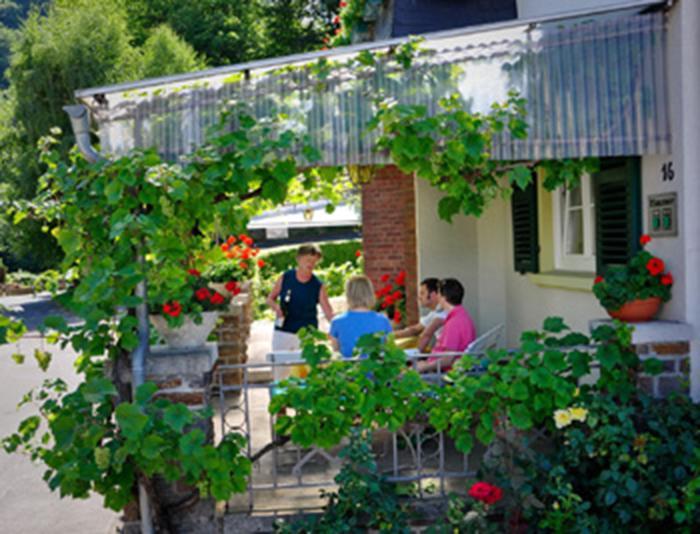 Pension "Haus Am Walde" Brodenbach, Mosel Extérieur photo