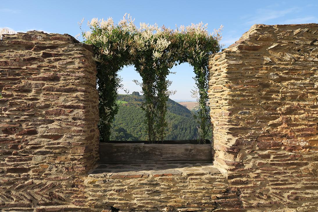 Pension "Haus Am Walde" Brodenbach, Mosel Extérieur photo